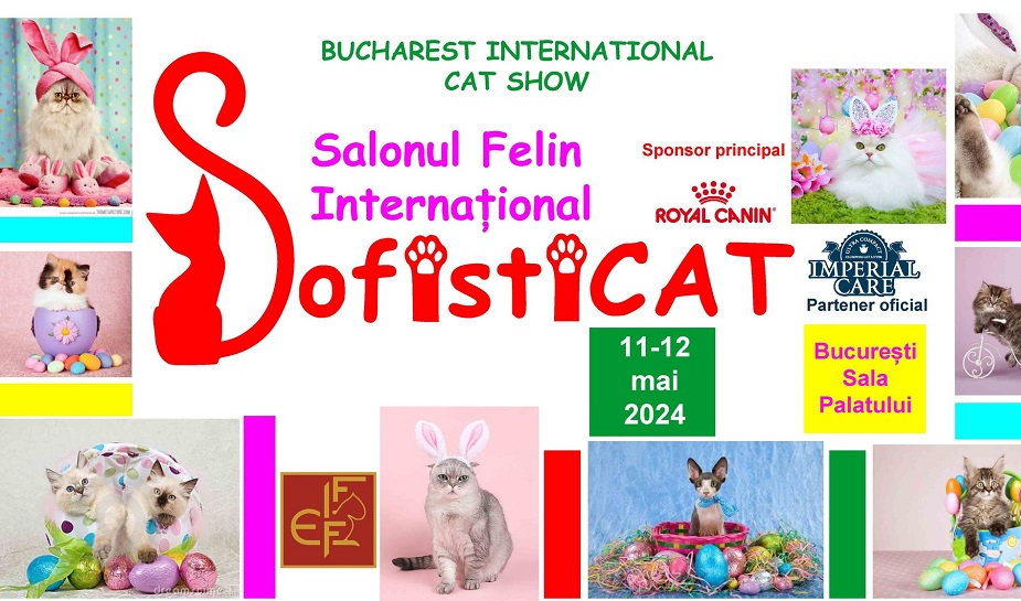 Salonul Felin SofistiCAT, la Sala Palatului din București: 11 și 12 mai 2024