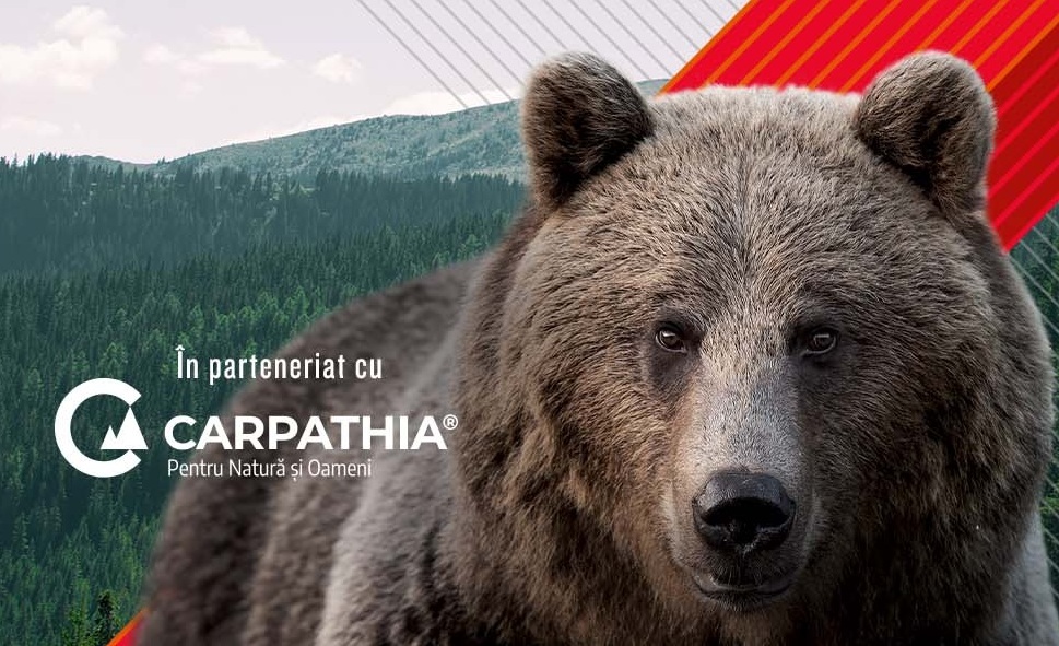 Fundația Conservation Carpathia și Ursus au derulat a 4-a ediție a campaniei Ascultă ursul din tine și fă bine